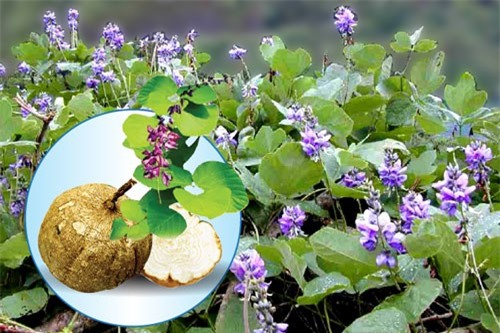 Chị em mách nhau bí kíp khiến chồng chao đảo cả ngày lẫn đêm