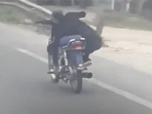 Clip: 'Ngao ngán' với màn biểu diễn lạng lách giữa đường của 'anh hùng xa lộ'