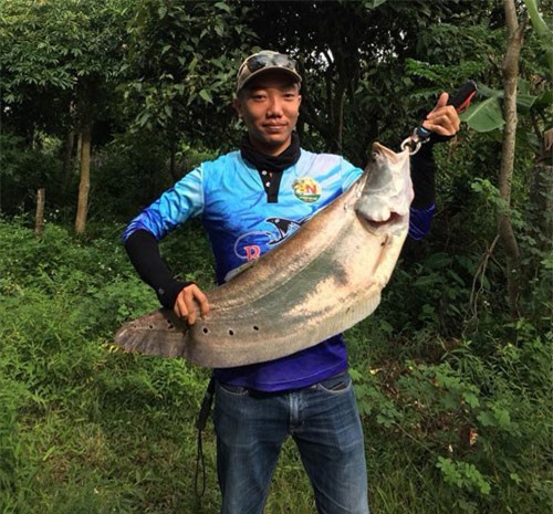 Đắk Lắk: Câu được con cá thác lác cườm "khủng" nặng 5kg