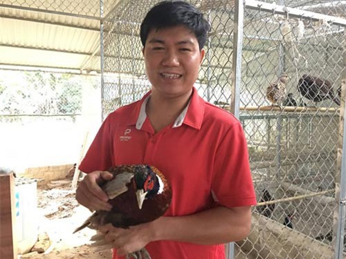 Thầy giáo vùng cao nuôi loài chim ăn ít, ưa làm dáng, có 30 triệu/tháng