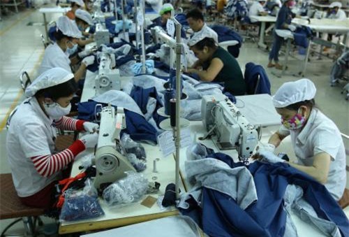 Khảo sát đánh giá chất lượng doanh nghiệp Việt Nam hội nhập CPTPP: Công ty TNHH MTV Pinetree - Hàn Quốc 