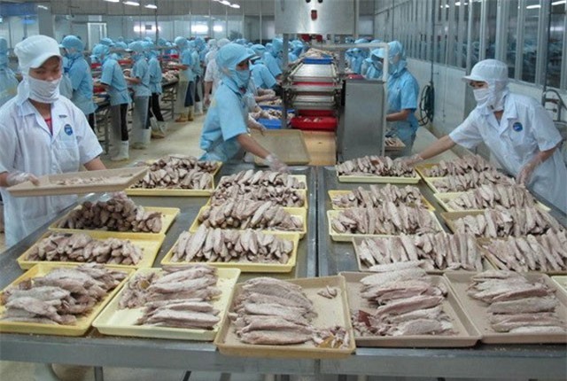 Khảo sát đánh giá chất lượng doanh nghiệp Việt Nam hội nhập CPTPP: Công ty TNHH MTV thủy sản xuất nhập khẩu Bạch Linh