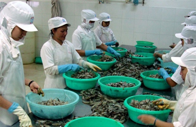 Khảo sát đánh giá chất lượng doanh nghiệp Việt Nam hội nhập CPTPP: Công ty TNHH thủy sản NIGICO