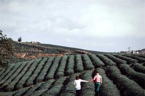 Yêu nhau lên Đà Lạt là về chia tay?