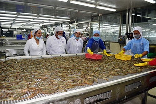 Khảo sát đánh giá chất lượng doanh nghiệp Việt Nam hội nhập CPTPP: Công ty TNHH MTV chế biến thủy hải sản nhập khẩu Thiên Phú