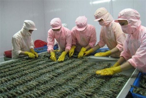 Khảo sát đánh giá chất lượng doanh nghiệp Việt Nam hội nhập CPTPP: Công ty Cổ phần chế biến thủy sản xuất nhập khẩu Âu Vững I