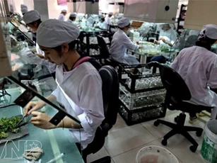 Khảo sát đánh giá chất lượng doanh nghiệp Việt Nam hội nhập CPTPP: Công ty cổ phần công nghệ sinh học rừng hoa Đà Lạt