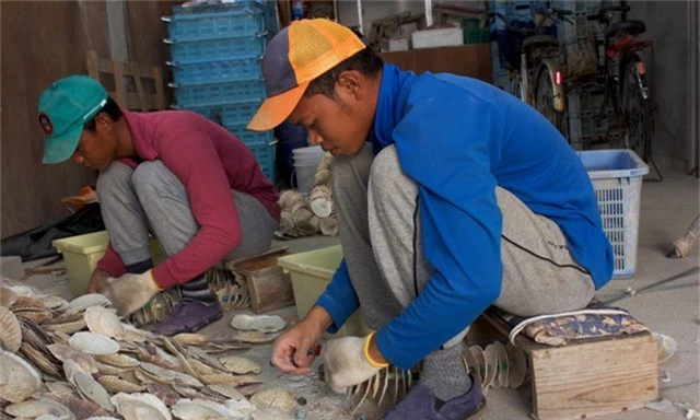 Mohammad (phải) và Munadi là hai lao động nước ngoài tại Nhật Bản. (Ảnh: Guardian)