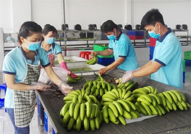 Khảo sát đánh giá chất lượng doanh nghiệp Việt Nam hội nhập CPTPP: Công ty TNHH MTV lương thực Vĩnh Lộc