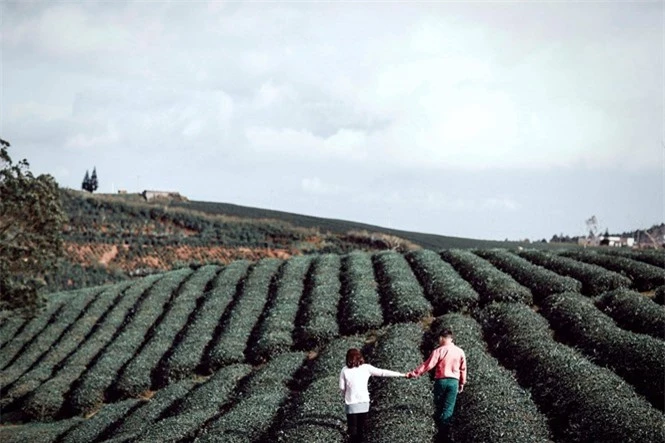 Đà Lạt vốn là thiên đường tình yêu của nhiều cặp đôi LÊ QUANG LONG