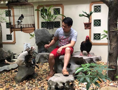 Gia tài triệu USD của 'ông hoàng nhạc đỏ' Trọng Tấn