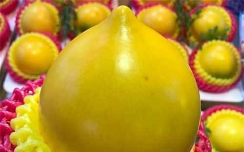 Những trái cây Đài Loan giá tiền triệu hút khách Việt