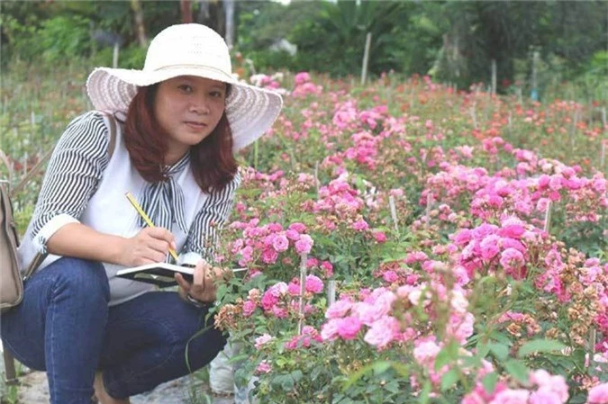trồng hoa hồng,nông nghiệp hữu cơ,khởi nghiệp nông nghiệp,trà hoa hồng,hoa hồng