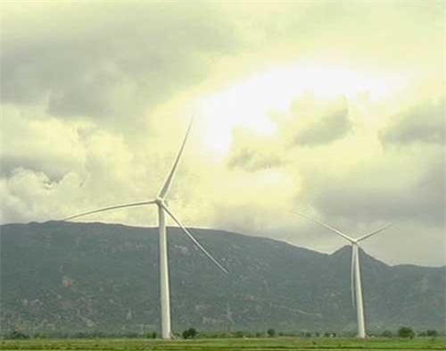 Điện gió làm mất cân bằng hệ sinh thái