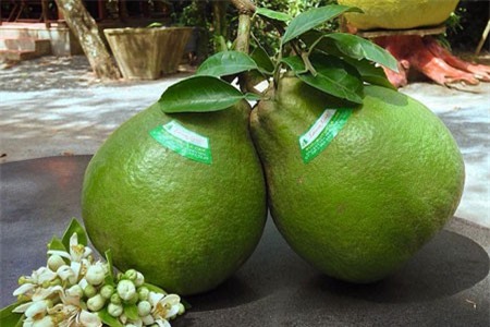 Nức danh bưởi "tứ tuyệt" Tân Triều, đặc sản đất Đồng Nai