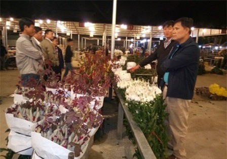 Lâm Đồng - Hà Nội ngồi lại tính chuyện “buôn” hoa