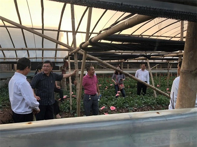 Khảo sát vườn hoa của người dân Hà Nội tại làng hoa Tây Tựu (Ảnh: Sở Công thương Lâm Đồng)