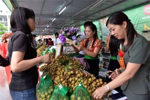 Nông sản Sơn La mang lại nguồn lợi lớn.