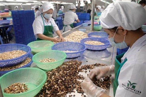 Thông điệp từ giới kinh doanh khi CPTPP được kích hoạt