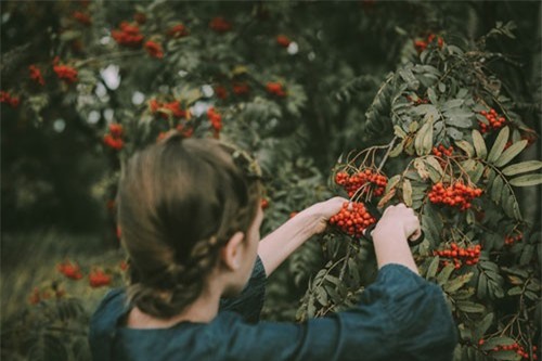 Dự đoán ngày mới (15/11) cho 12 Cung Hoàng Đạo: Song Ngư gặp điều bất ngờ 