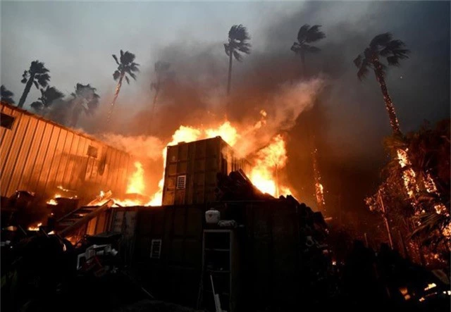 Vụ cháy kéo dài trong chưa đầy 1 tuần đã gây thiệt hại nghiêm trọng cho bang California (Ảnh: Reuters)