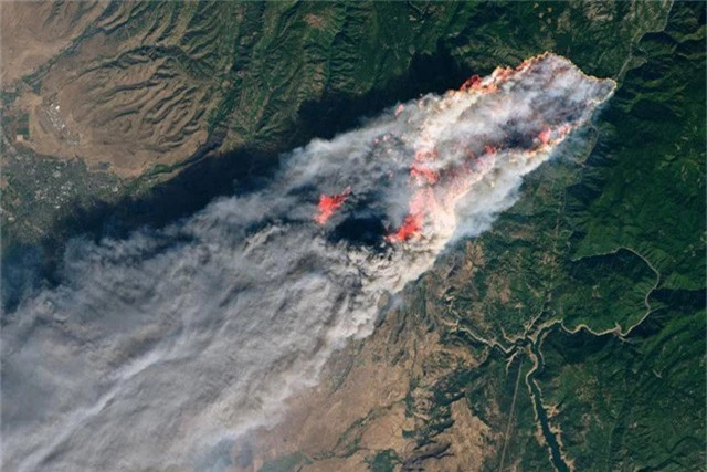 Cháy rừng nhìn từ trên cao (ảnh: Reuters)