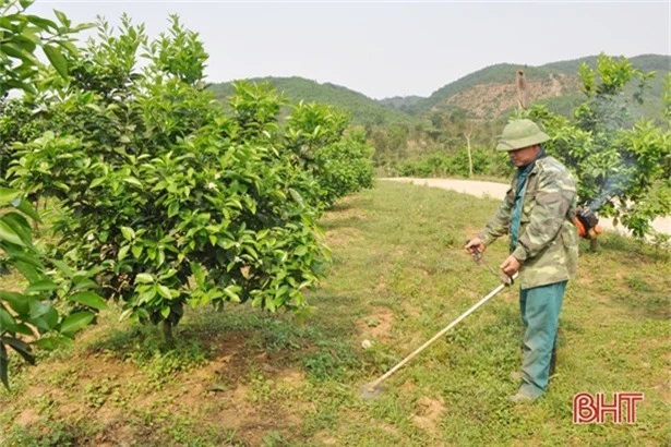 Để một ý tưởng trở thành sản phẩm thương mại