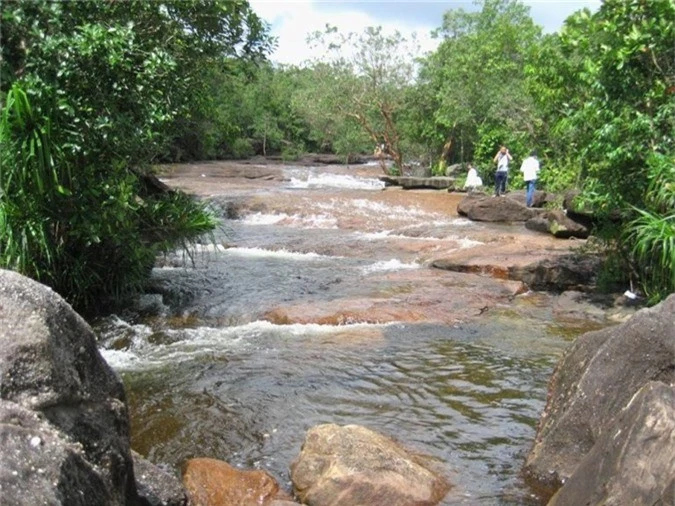 khong ngo giua bon be nuoc bien, phu quoc lai co loai ca tre doc, la hinh anh 5