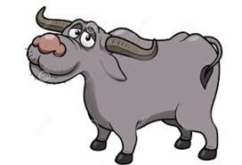 Dự đoán ngày mới (16/11) cho 12 con giáp: Tuổi Sửu khởi nghiệp, tuổi Dần vận trình lên cao