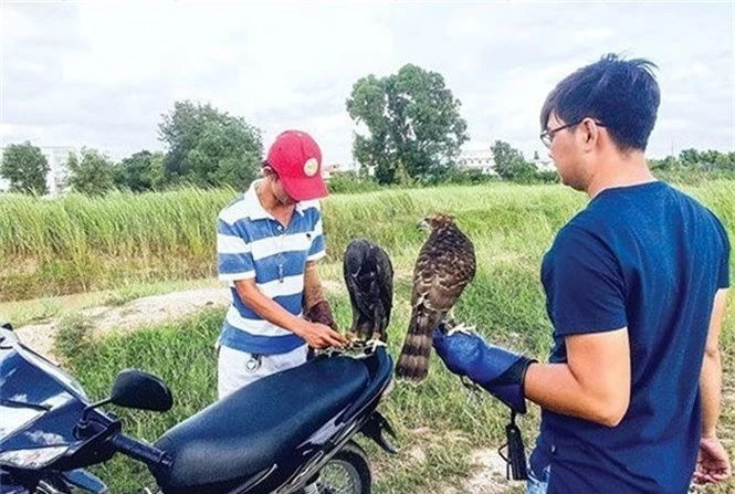 Thú chơi chim đại bàng của đại gia Việt tốn kém thế nào? - ảnh 8