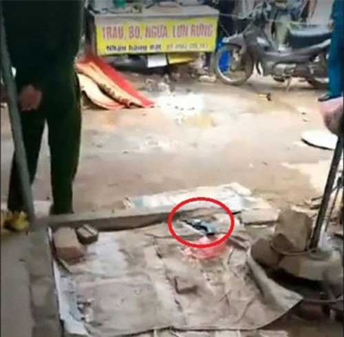 Vụ cô gái trẻ bị bắn chết giữa chợ: Hé lộ nguyên nhân bất ngờ