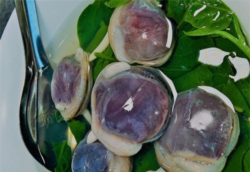 Giá đắt đỏ khó tin của loài tên là ngán nhưng "ăn là nghiện"