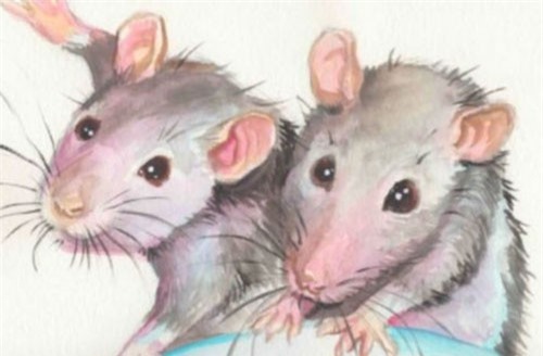 Con giáp sinh năm này có mệnh đại phú đại quý trong năm 2019