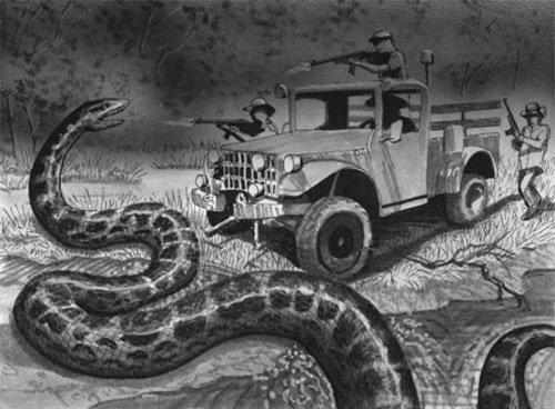 Những bí ẩn trong rừng rậm Amazone đến nay vẫn chưa được giải đáp