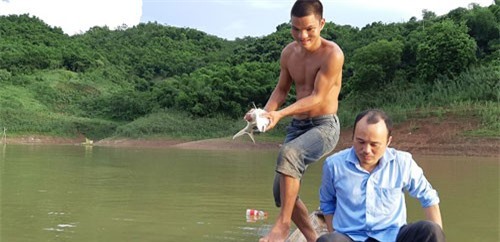 LẠ: Cho cá ăn tỏi, chữa được 2 bệnh, cá lớn vù vù, kiếm bộn tiền