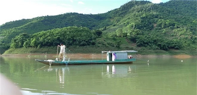 la: cho ca an toi, chua duoc 2 benh, ca lon vu vu, kiem bon tien hinh anh 3