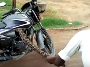 Clip: Toát mồ hôi lôi con trăn cỡ lớn ra khỏi xe côn tay