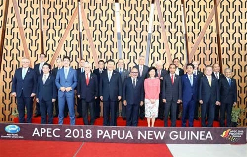 Lễ đón các nhà lãnh đạo APEC. Ảnh: TTXVN/Thống Nhất