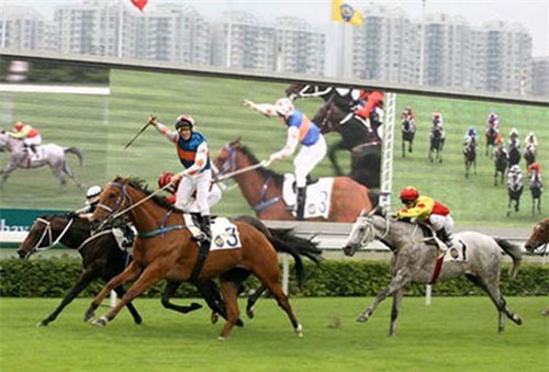 Làm trường đua ngựa 500 triệu USD, Hà Nội thu thuế trăm triệu USD/năm
