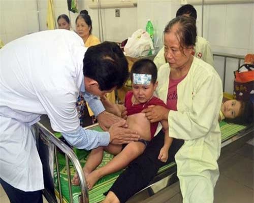 Hơn 200 trẻ mầm non, giáo viên nhập viện vì ăn buffet