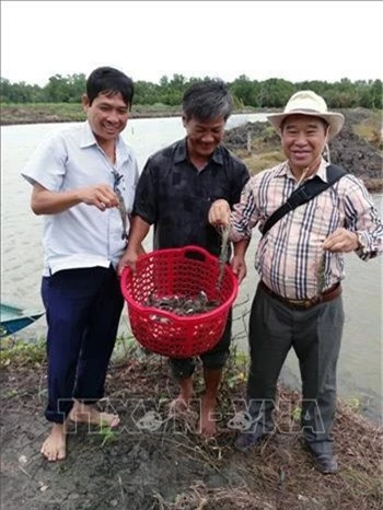 kien giang: cho ca nau o chung voi tom su, 6 thang da co loi to hinh anh 1