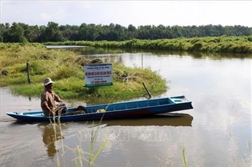 kien giang: cho ca nau o chung voi tom su, 6 thang da co loi to hinh anh 3