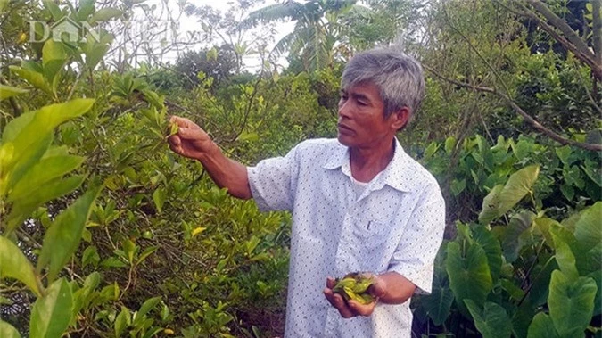 trong danh danh, nhieu nguoi tro thanh trieu phu hinh 2