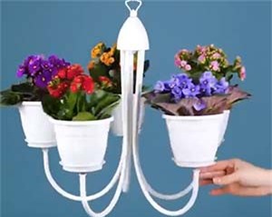 Clip: Tuyệt chiêu 'biến' chậu cây bỏ đi thành đồ dùng hữu ích trong 'tích tắc'