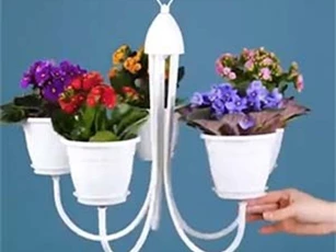 Clip: Tuyệt chiêu 'biến' chậu cây bỏ đi thành đồ dùng hữu ích trong 'tích tắc'