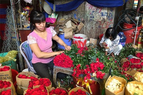 Giá hoa tươi tăng gấp 4 lần cận ngày Nhà giáo Việt Nam 20/11