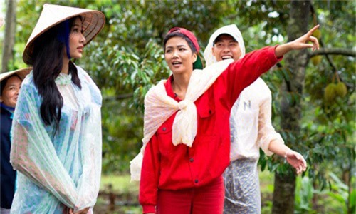 H'Hen Niê đưa Hoàng Thùy về quê Đắc Lăk hái bơ