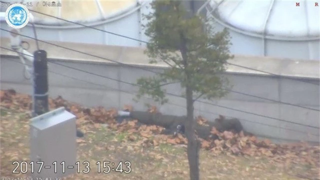  Binh sĩ Triều Tiên bị trúng đạn nằm cạnh một bức tường trước khi được các binh sĩ Mỹ và Hàn Quốc đưa đi cấp cứu (Ảnh: Reuters) 