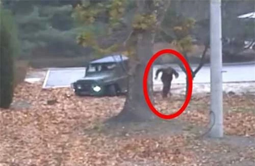 Binh sĩ Oh Chong-song lái xe đào tẩu qua biên giới với Hàn Quốc (Ảnh: Yonhap)