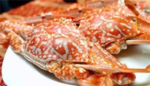 Clip: 'Tròn mắt' với bí quyết lấy thịt ghẹ siêu đẳng, không bỏ sót miếng nào